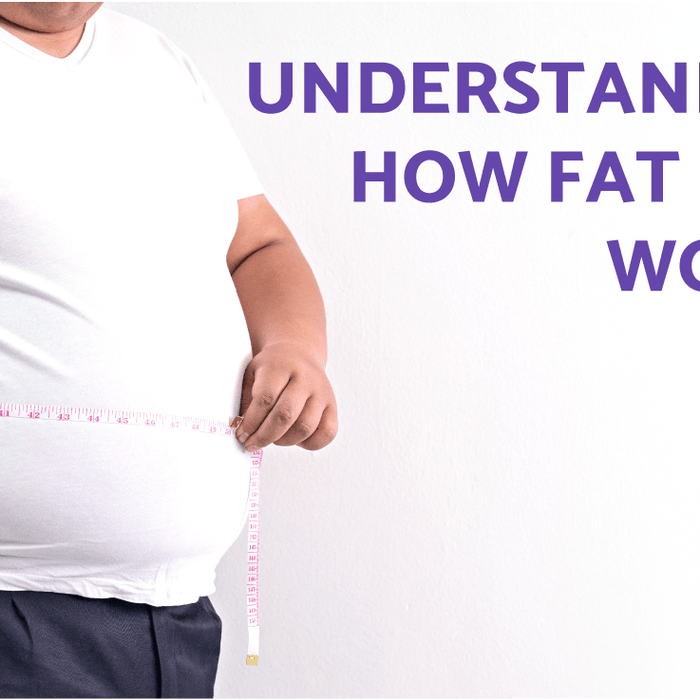 Understanding How Fat Loss Works