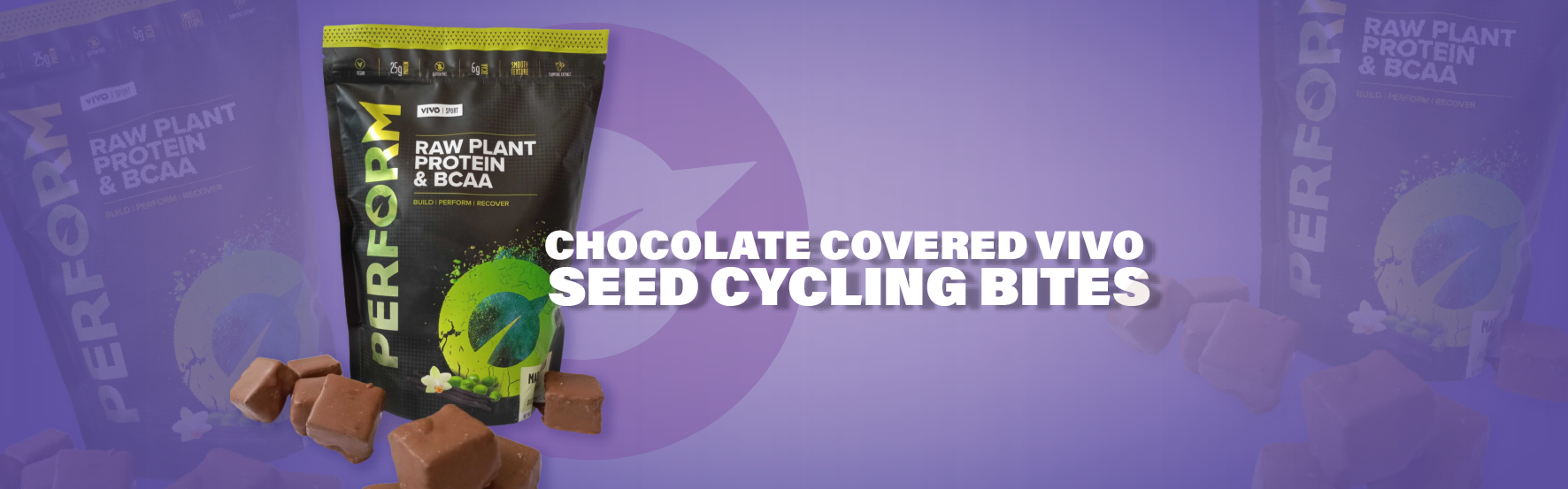 VIVO Chocolate Covered Seed Cycling Bites