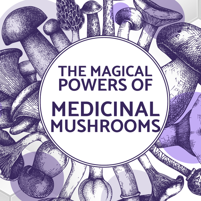 The Magical Powers Of Medicinal Mushrooms