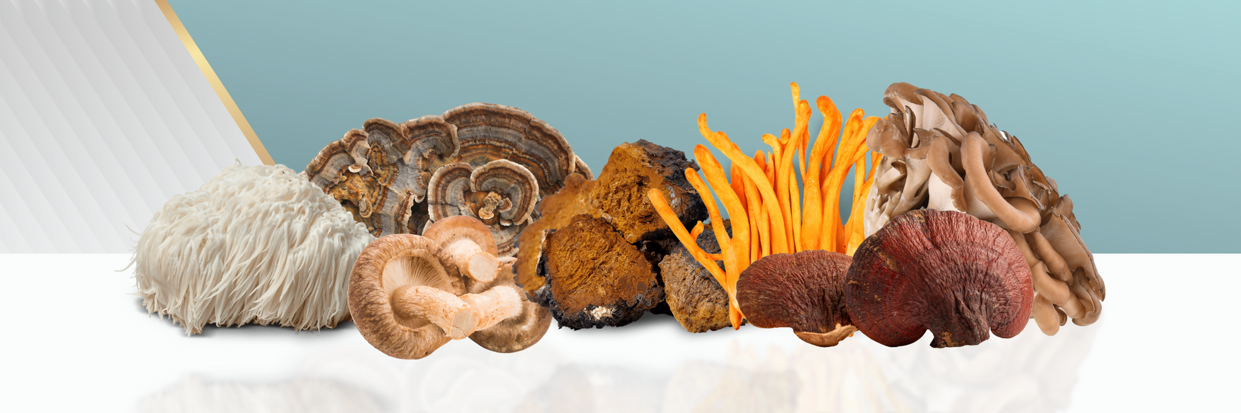 Medicinal Mushrooms for Immunity