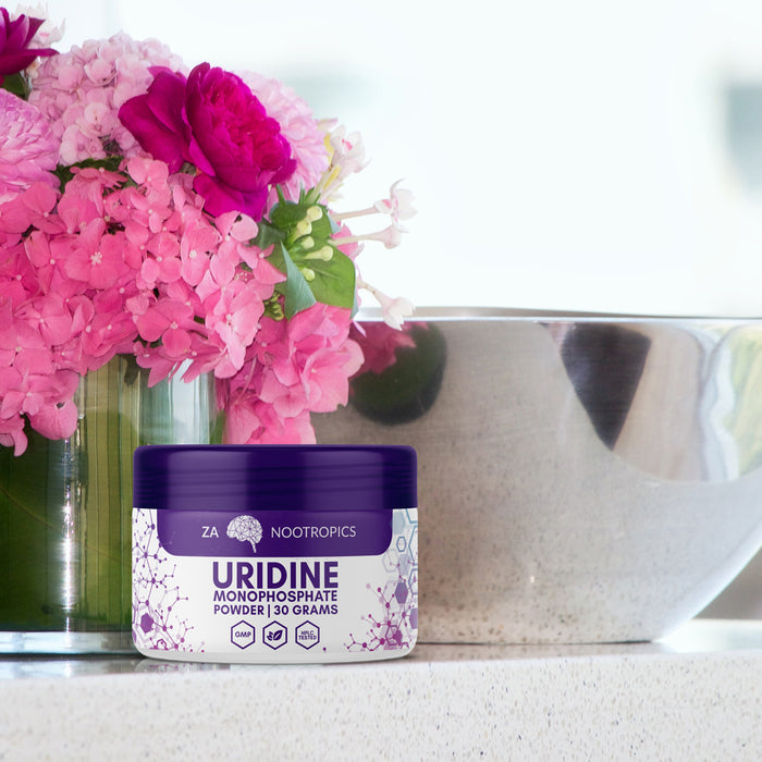 Uridine: 5 Benefits You Might Have Missed | Articles | OPTMZ | 