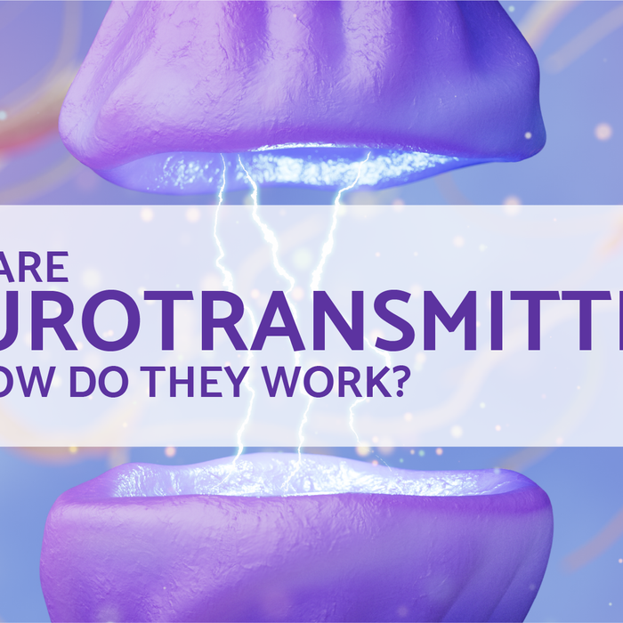 What Are Neurotransmitters and How Do They Work?