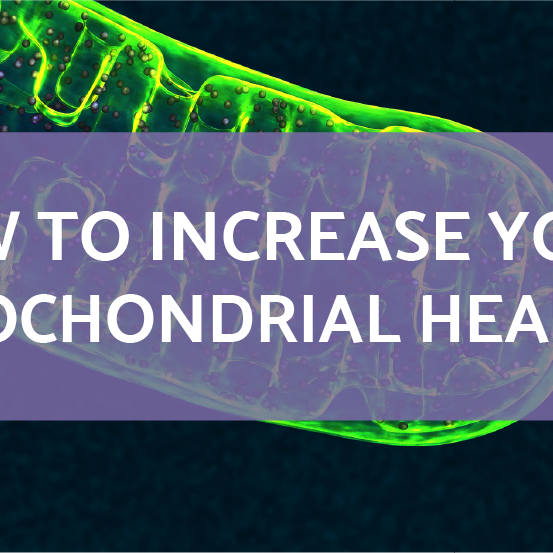 How To Increase Your Mitochondrial Health | Articles | OPTMZ | 